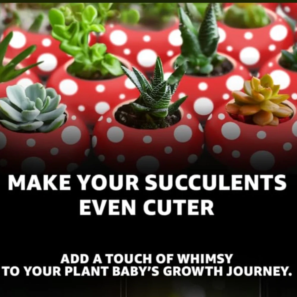 Shumiez Mushroom Planter, NIB 🍄 🌱 - Picture 10 of 16